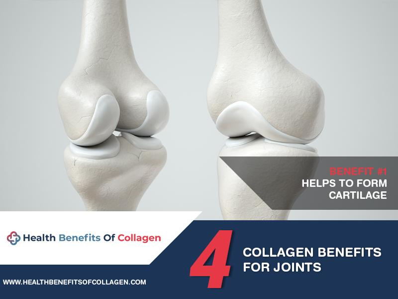  collagen and your joints