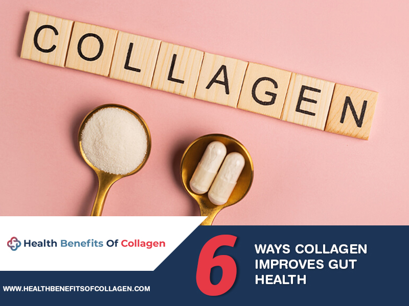  how collagen keeps the gut healthy