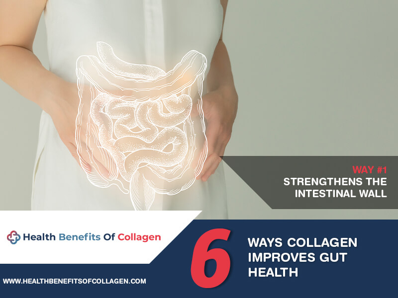 ways collagen improves gut health