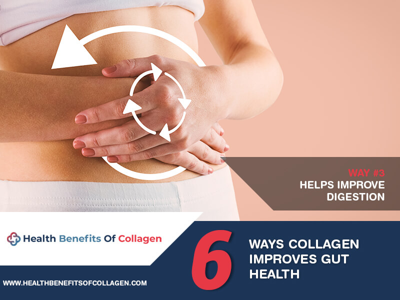  collagen and your gut health