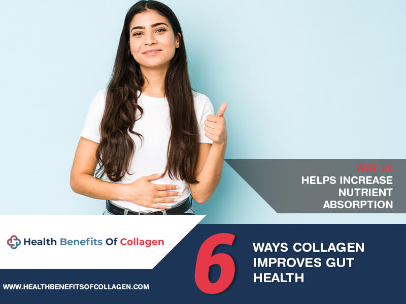  how collagen keeps the gut healthy
